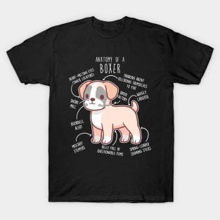 Boxer Dog Fawn Anatomy T-Shirt